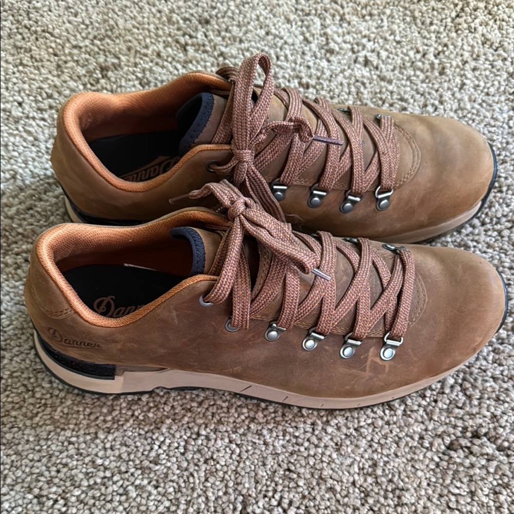 Danner Mountain Overlook Shoes